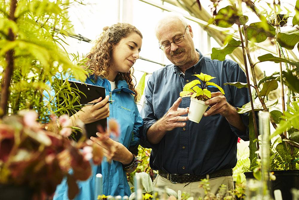 man with plant showing to female student