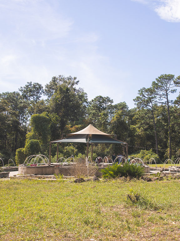 Photo of the UWF Community Garden full view