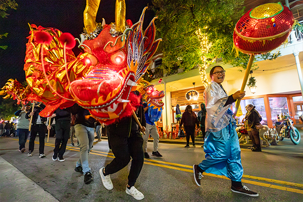 Lunar New Year the Year of the Dragon