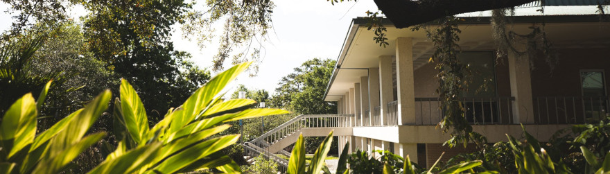 A scenic view of UWF building 10 with ferns in the foreground.