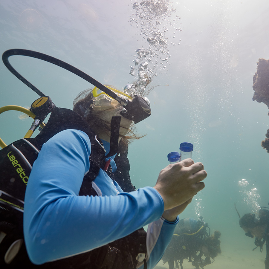 Scuba diver underwater collecting samples.