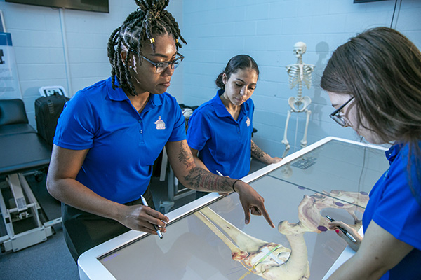 UWF students use the Anatomage virtual cadaver tables during a class